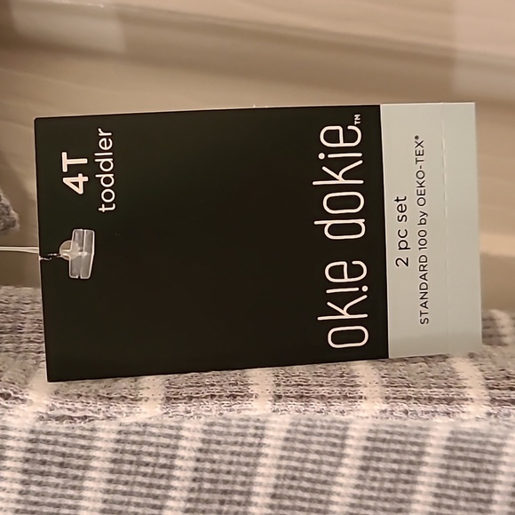 OKIE DOKIE TODDLER GIRLS GRAY STRIPED SET TOP AND MATCHING SHORTS SIZE 4T - Picture 8 of 9